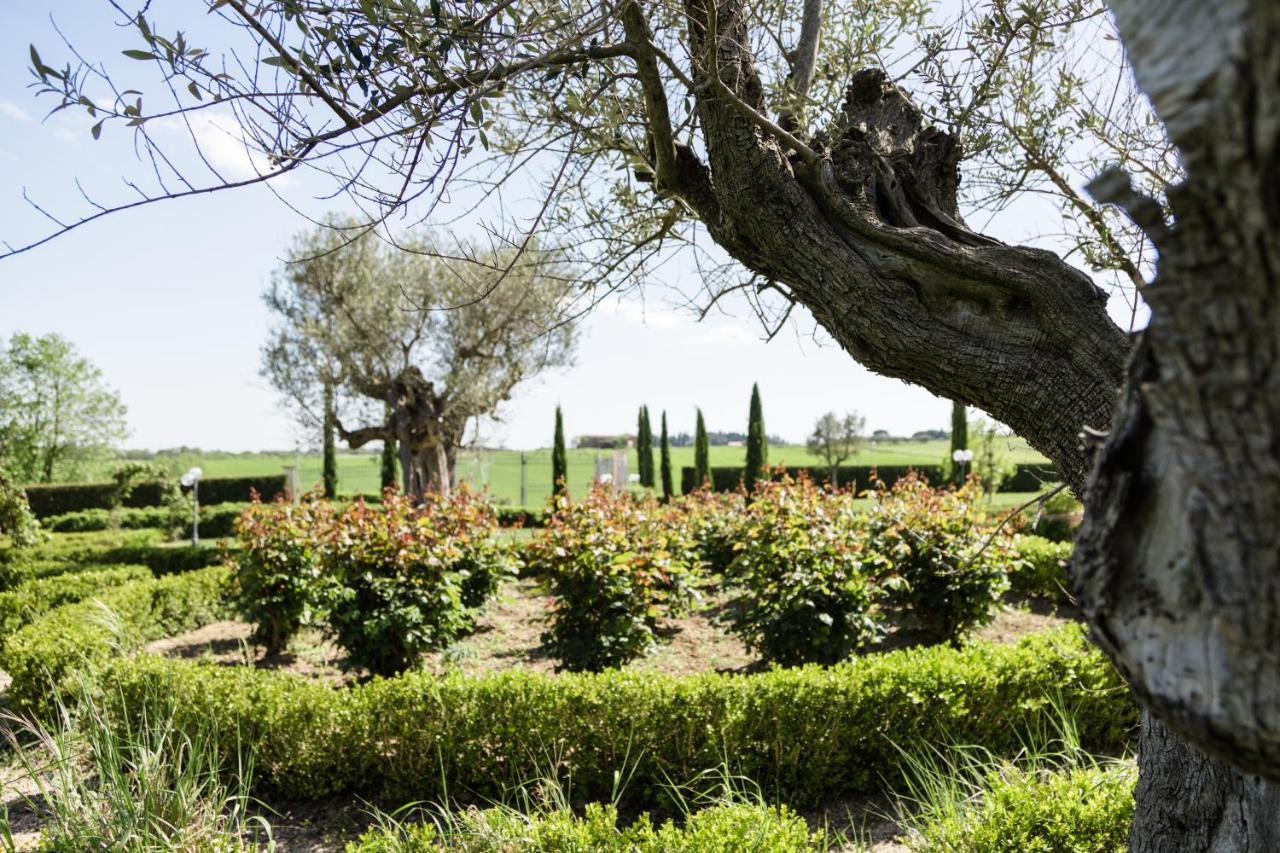 Podere San Giuseppe Castiglione del Lago Eksteriør billede