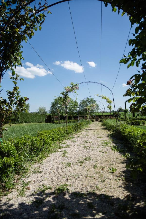 Podere San Giuseppe Castiglione del Lago Eksteriør billede