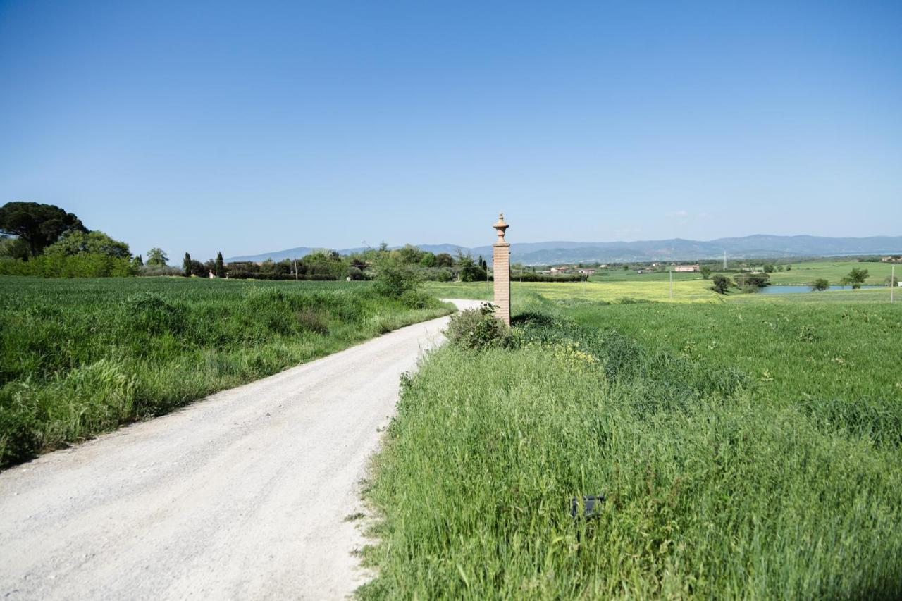 Podere San Giuseppe Castiglione del Lago Eksteriør billede
